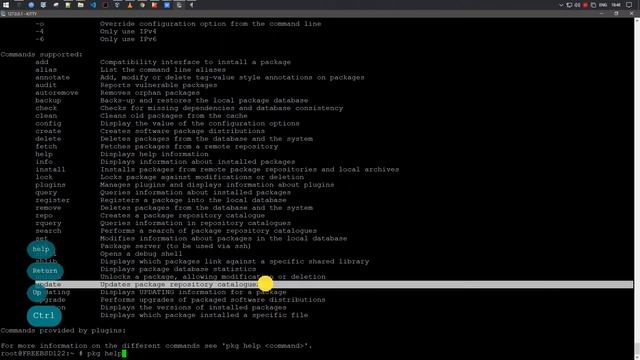 pkg update - Обновляет локальную копию каталога пакетов FreeBSD 12.2