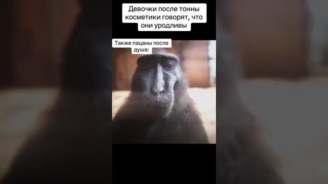 подпишись👍