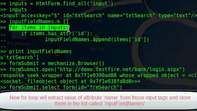 Cross Site Scripting (XSS)
