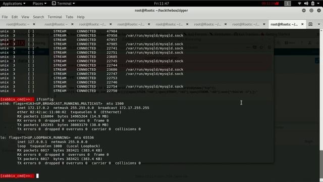 HackTheBox Zipper