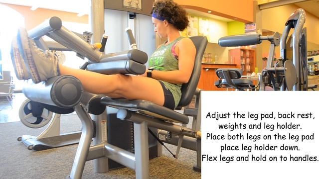 Seated Leg Curl -Seated Hamstring Curl (Machine)