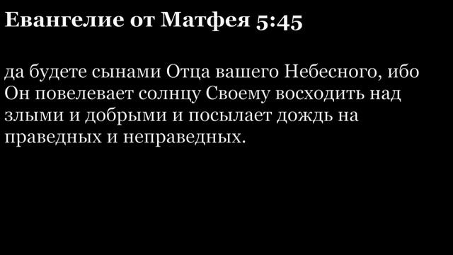 День 283. Библия за год. С митрополитом Иларионом.