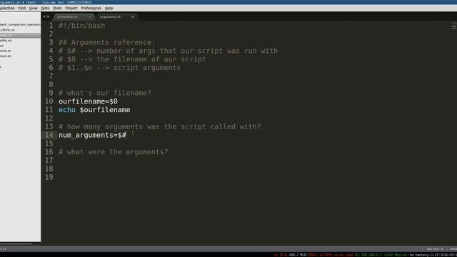 Bash Scripting 5 -- Arguments