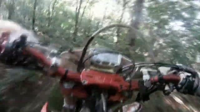 GAC  Super Root Section down Shepody