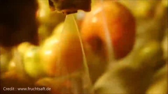 World Most Amazing Apple Garden & processing.