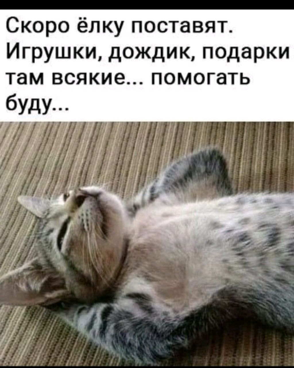 я к этому готовился