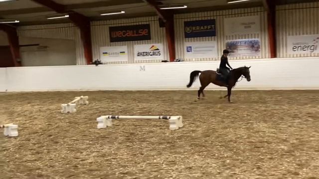 Elsa