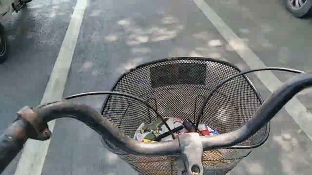 顶着高温，骑着我的小破自行车🚲上班去，路上遇到了什么？