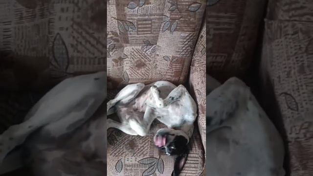 Кто тут главный?))