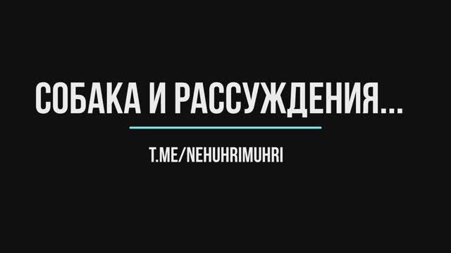 Собака, режим и рассуждения
t.me/nehuhrimuhri
