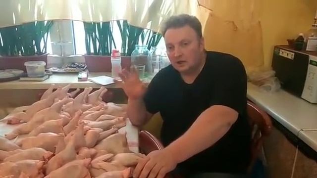 Все о с/х птице ч.8 