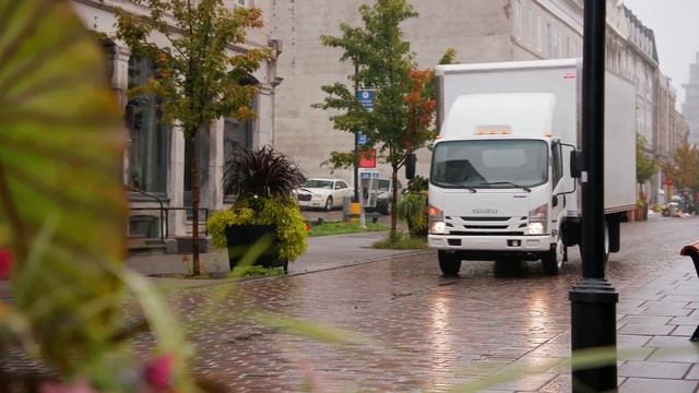 2019 Isuzu NPR HD Gas Van Body