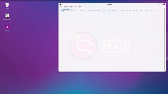 Steghide in Kali linux