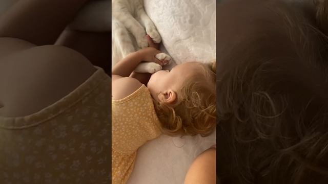 VID-20240920-WA0091