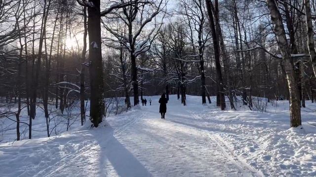 [4K HDR IPHONE 13 PRO] Walk in the Timeryazevsky Park in Moscow in winter.