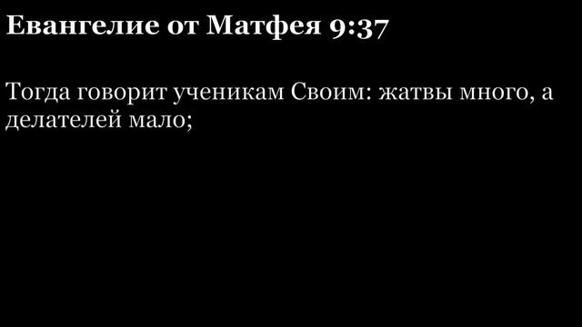 День 284. Библия за год. ББиблия за год. С митрополитом Иларионом.