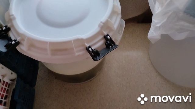 остатки урожая томатов,перцев...