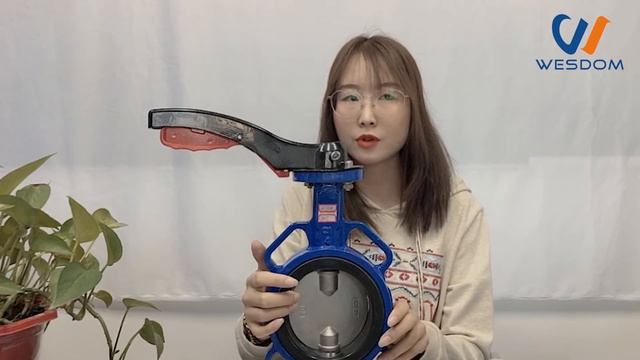 What factors can affect butterfly valve price