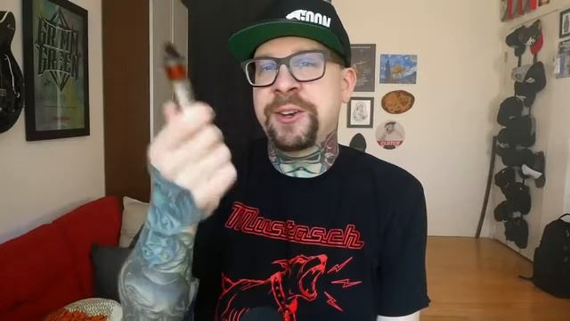 Joyetech Exceed D19 vs Innokin Endura T20s ~ mouth to lung all day
