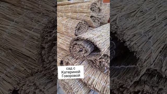 осень и работы в саду