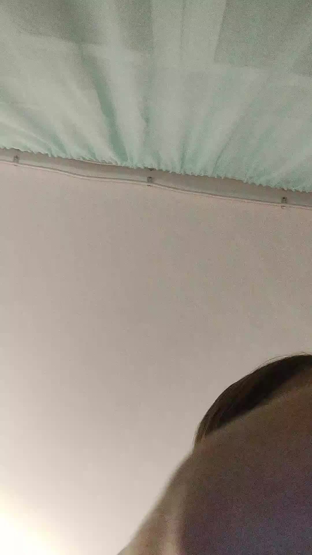 бабочка