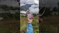 Вдохновляющие пейзажи Сочи в объективе Infinix Zero 40 5G #infinix #смартфон #влог #4k