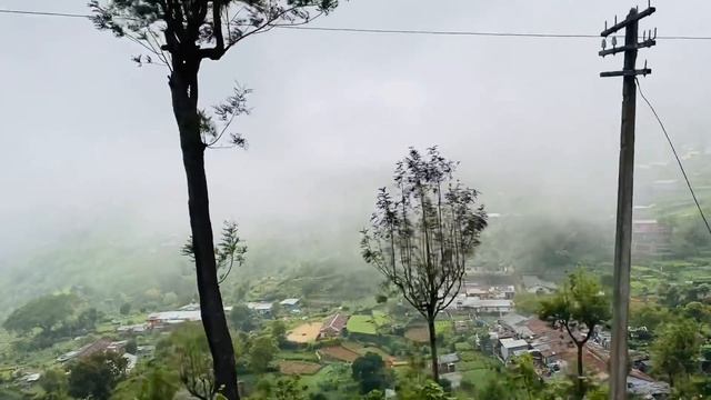 Badulla Train Journey | Nine Arches Bridge | Demodara | Ella | Lipton seat | Sri Lanka🇱🇰