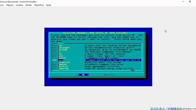 Instalação do Slackware Linux 14 e navegação com Lynx