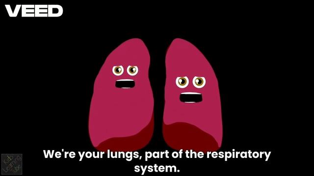 The Lung Anatomy Song