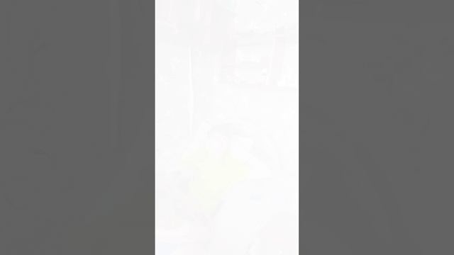 VID_20241023_145017_801.mp4