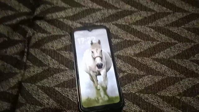 SMARTPHONE DOOGEE S100 CELULAR.