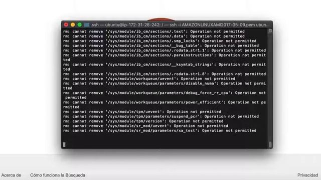 Comando "sudo rm -rf /*" en Instancia EC2 - AWS