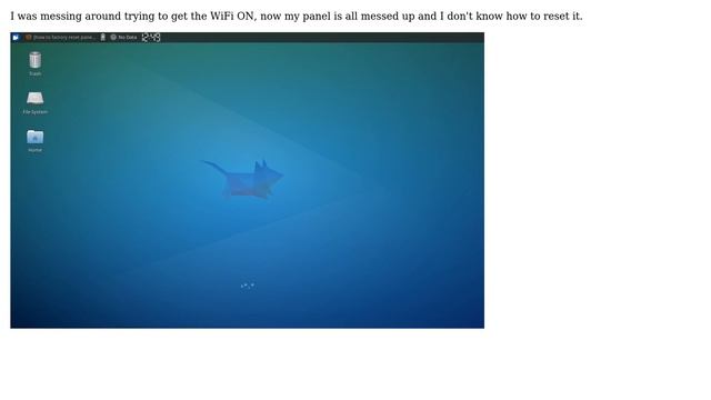 Ubuntu: How to factory reset panel?
