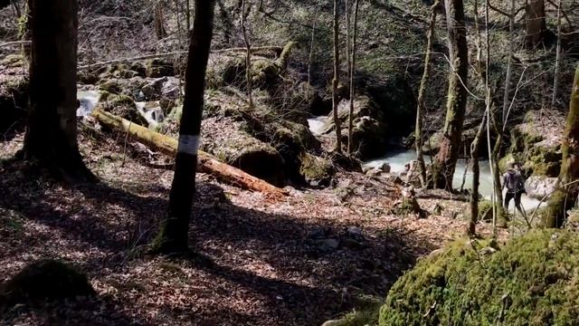Краснодарский край, п.Мезмай 7.04.2019