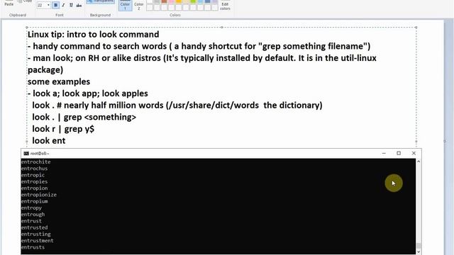 Linux - Introduction to the look command