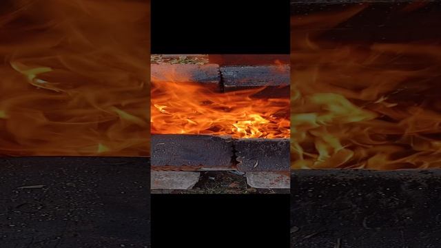 1000002722.mp4