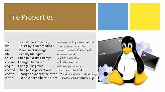 Basic Linux command file properties