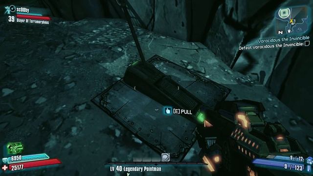 BL2 Co-op (Linux hosts Windows) Voracidous the Invincible (WIN)