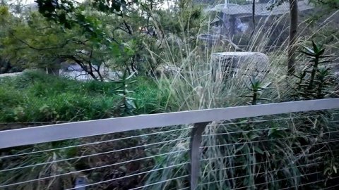 San Diego Zoo - Jungle Bells - Walking Tour