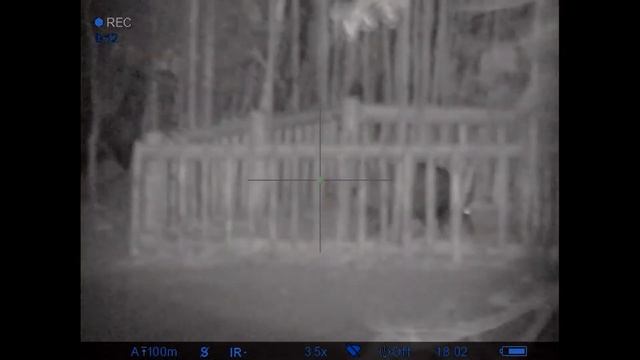 Видео с ночного прицела PULSAR DIGISIGHT ULTRA N355