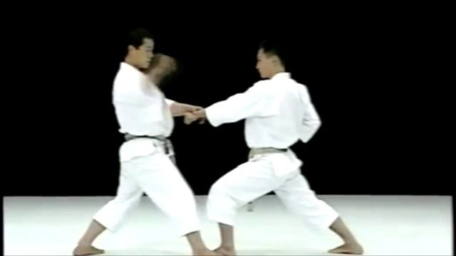 Sensei Kagawa 香川先生  The Art of Shotokan Best Karate