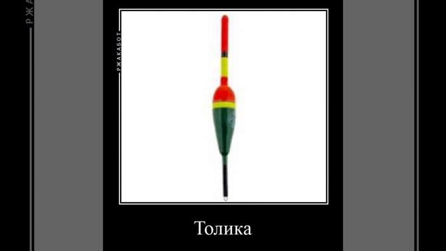 роман крыса
