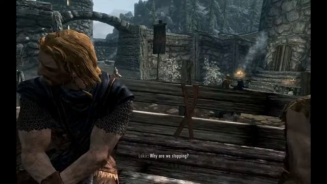 Приключения Льва расы кхаджиит в TES V Skyrim. Скандинавия. Драконы и другое эпичное, атмосферное.
