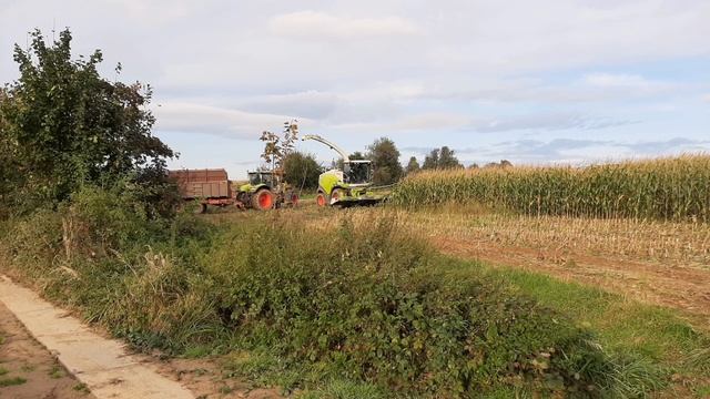 🌽Siláže🌽2020🌽Claas jaguar 860,axion 830,Fendt 828 vario,jcb fastruck #1