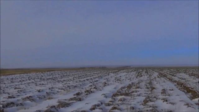 Охота на зайца. Выпуск № 30 18+