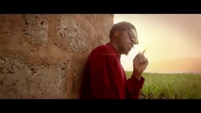 mkz tv  Live Stream