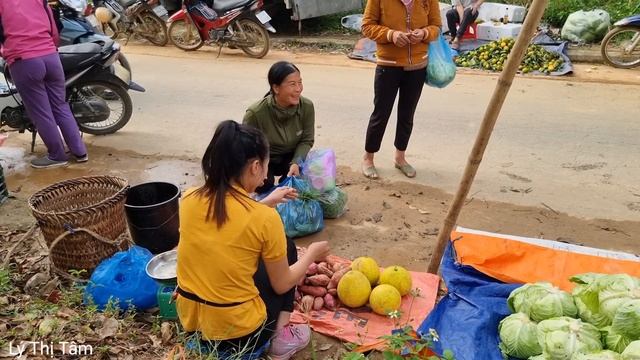 FULL VIDEO: 95 Day Harvesting Ginger & Sugarcane, Dong Leaves Goes to the market sell | Ly Thi Tam
