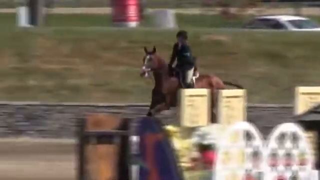 Video of Nimmerot ridden by Kristin Dolan from ShowNet!