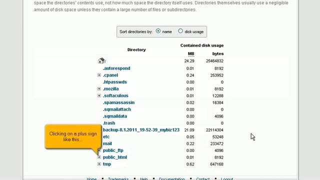 How to use the Disk Space Usage tool in cPanel