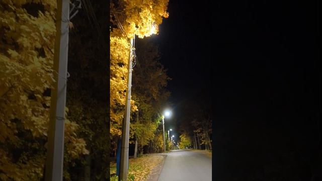 Дорога домой осенним вечером. #tataanriпитер #ушково #nature